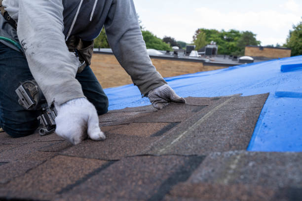 Roof Installation Near Me in Ephraim, UT