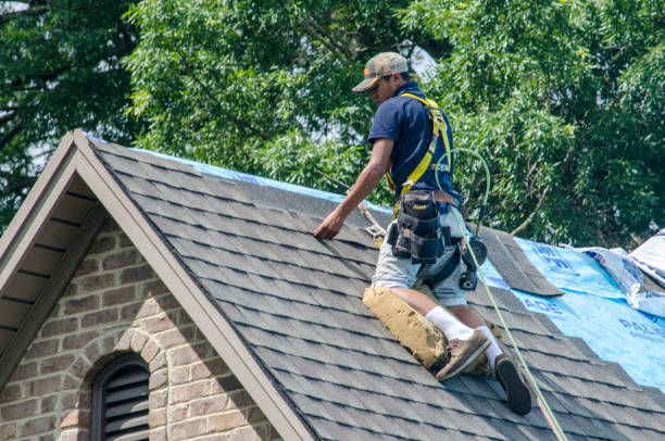 Best Storm Damage Roof Repair  in Ephraim, UT